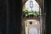 2016-05-23 Siena 32