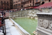 2016-05-23 Siena - Piazza del Campo - Fonte Gaia 07