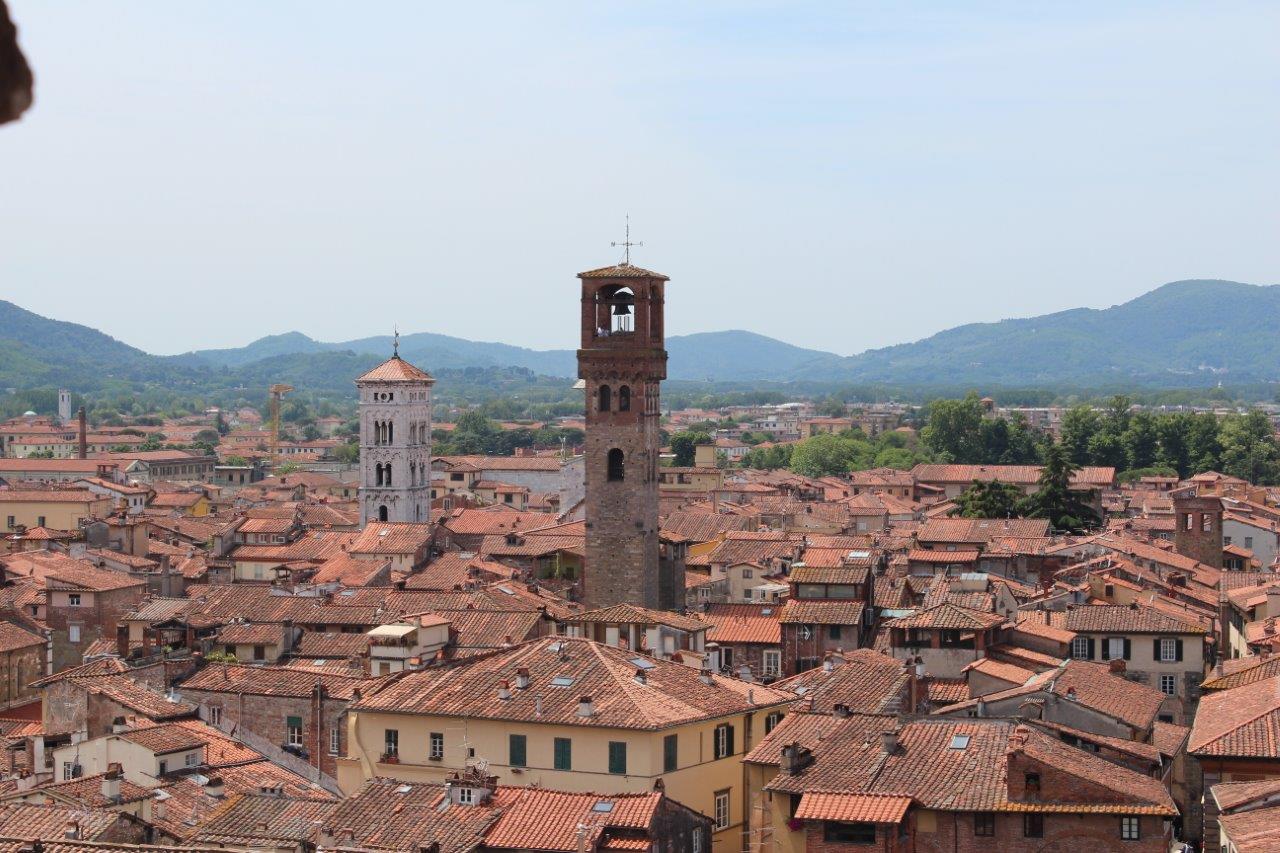 2016-05-26 Lucca - Guinigi Tower 07