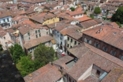 2016-05-26 Lucca - Guinigi Tower 38