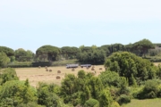 2016-05-31 Rome - Ostia Antica 063