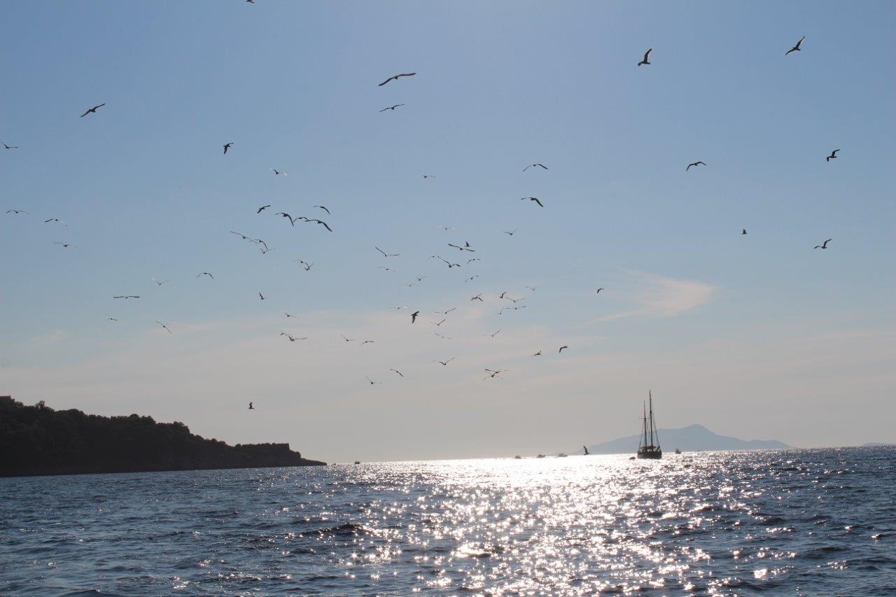 2016-06-05 Sorrento - Capri Boat Trip 148