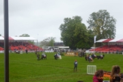 Badminton - Shetland Pony Steeplechase