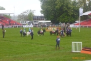 Badminton - Shetland Pony Steeplechase