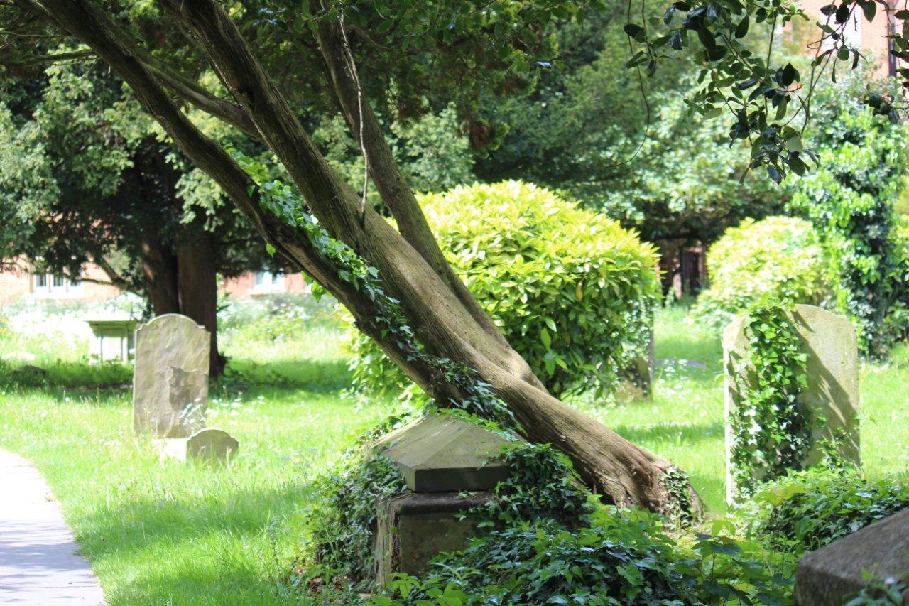 Reading Cemetery