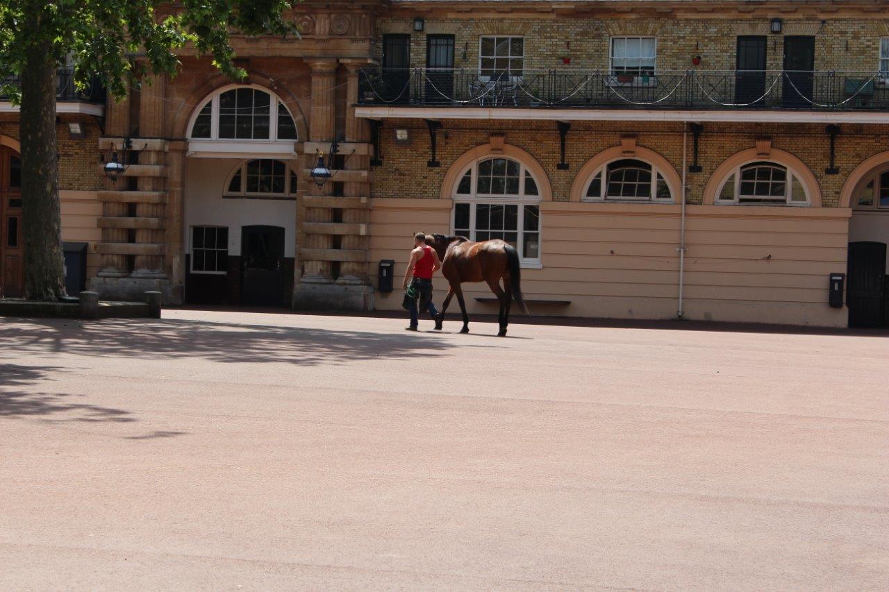 Buckingham Palace Mews