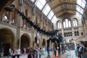 Natural History Museum