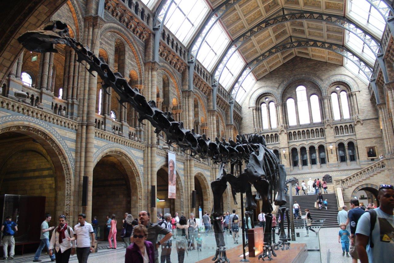 Natural History Museum