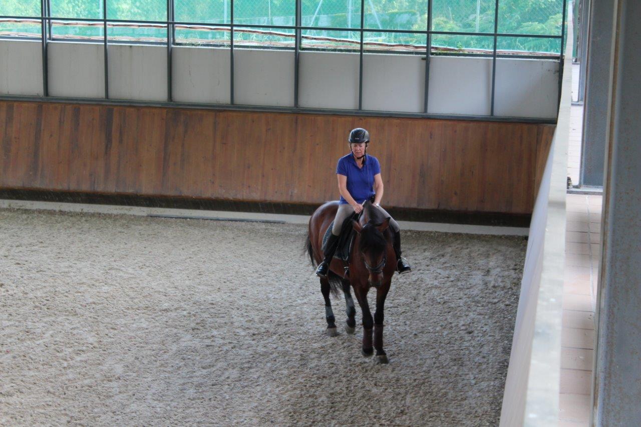 Donna Riding Trifolio at Hippikos