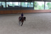 Donna Riding Trifolio at Hippikos