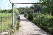 Hippikos Equestrian Centre